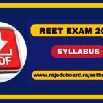 REET Syllabus 2024 For Level 1 & 2, Check New Exam Pattern