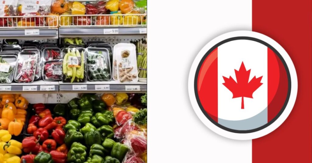 Canada Grocery Rebate 2024