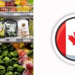 Canada Grocery Rebate 2024: Know Eligibility & Payment Dates