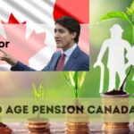 Extra OAS  Payment In March 2025 For Seniors: More Details Here