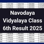 JNVST Navodaya Vidyalaya Class 6th Result 2025, Phase 1 Official Link-navodaya.gov.in