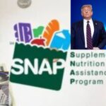 SNAP $120 Payment Coming In January 2025: Eligibility for Food Stamps Beneficiaries