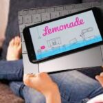 $4.995M lemonade.com privacy violations class action settlement: Check Eligibility & Step to Apply