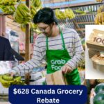 $628 Canada Grocery Rebate For All: Know Eligibility, Payment Date & Status