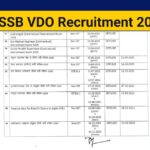 RSMSSB VDO Recruitment 2025 Notification, Check Eligibility, Application Process & Exam Pattern