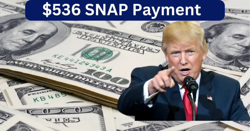 $536 SNAP Payment