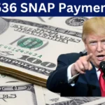 EBT Card Reload for $536 SNAP Payment for Two In USA- Check Eligibility & Payment Dates