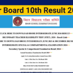 BSEB 10th Class Result 2025 Date, Bihar Matric Result Link-results.biharboardonline.com